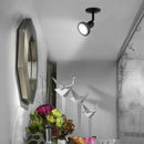 Riel Y Spot Interior YS-398/N Belforti I